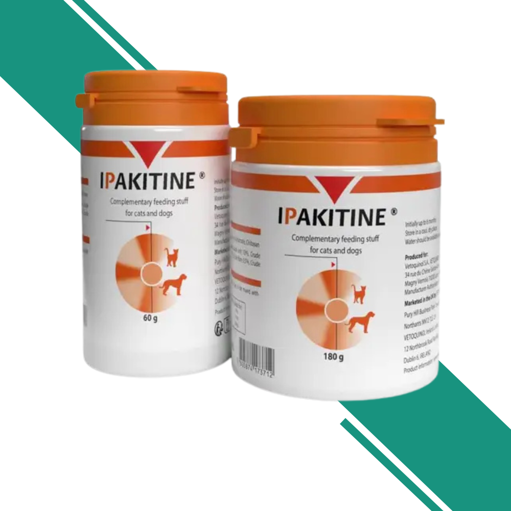 Ipakitine Kidney Function Support Powder – Renal Health Supplement
